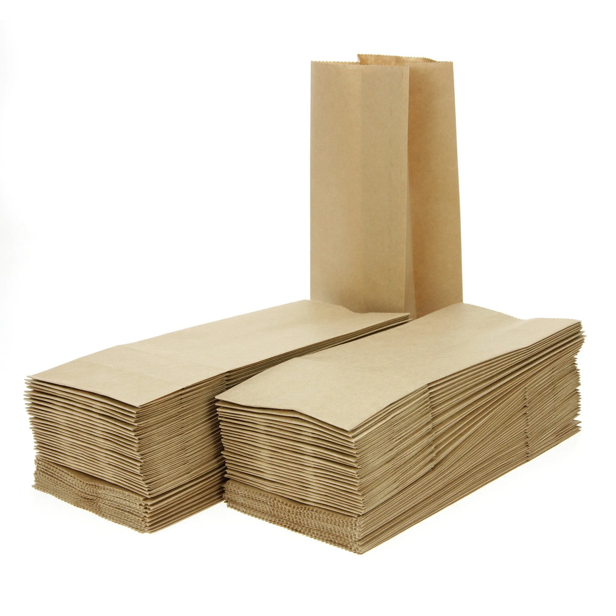 100 Kraft Paper Bags