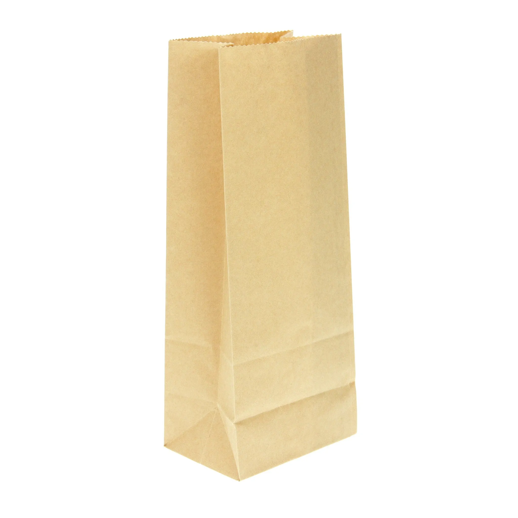 100 Kraft Paper Bags