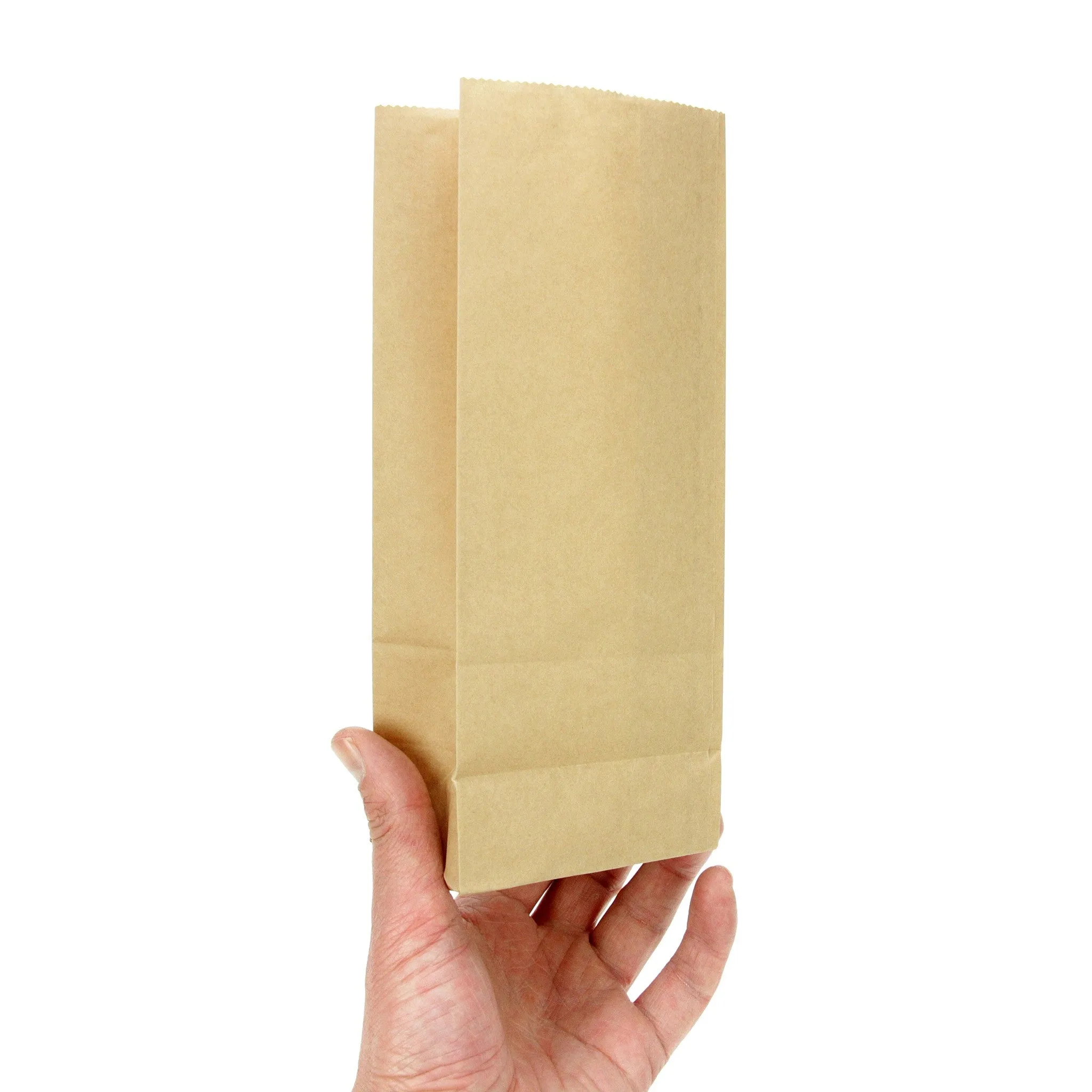 100 Kraft Paper Bags