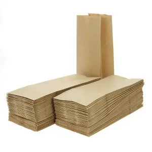 100 Kraft Paper Bags
