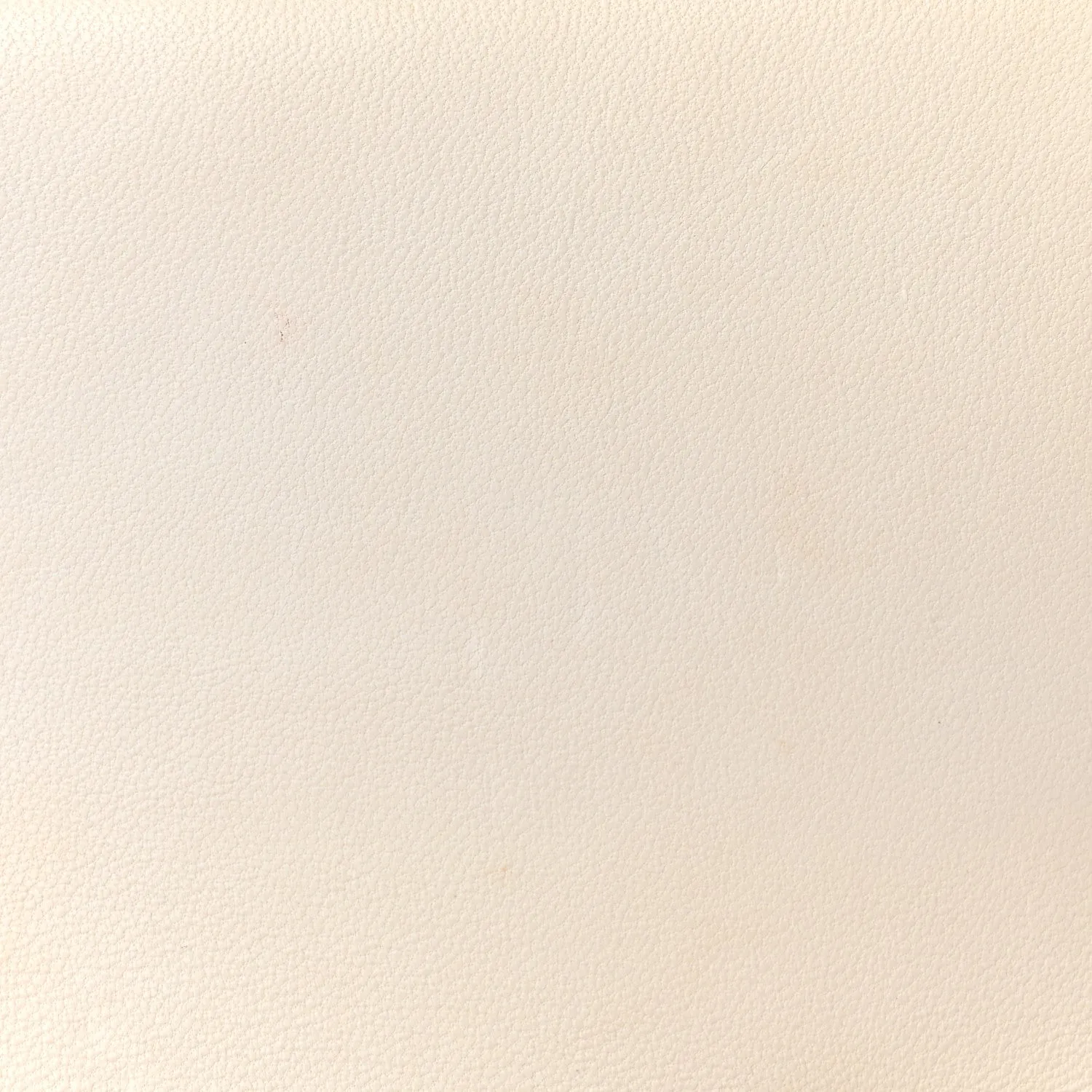 Lambskin Quilted Mini Rectangular Flap White