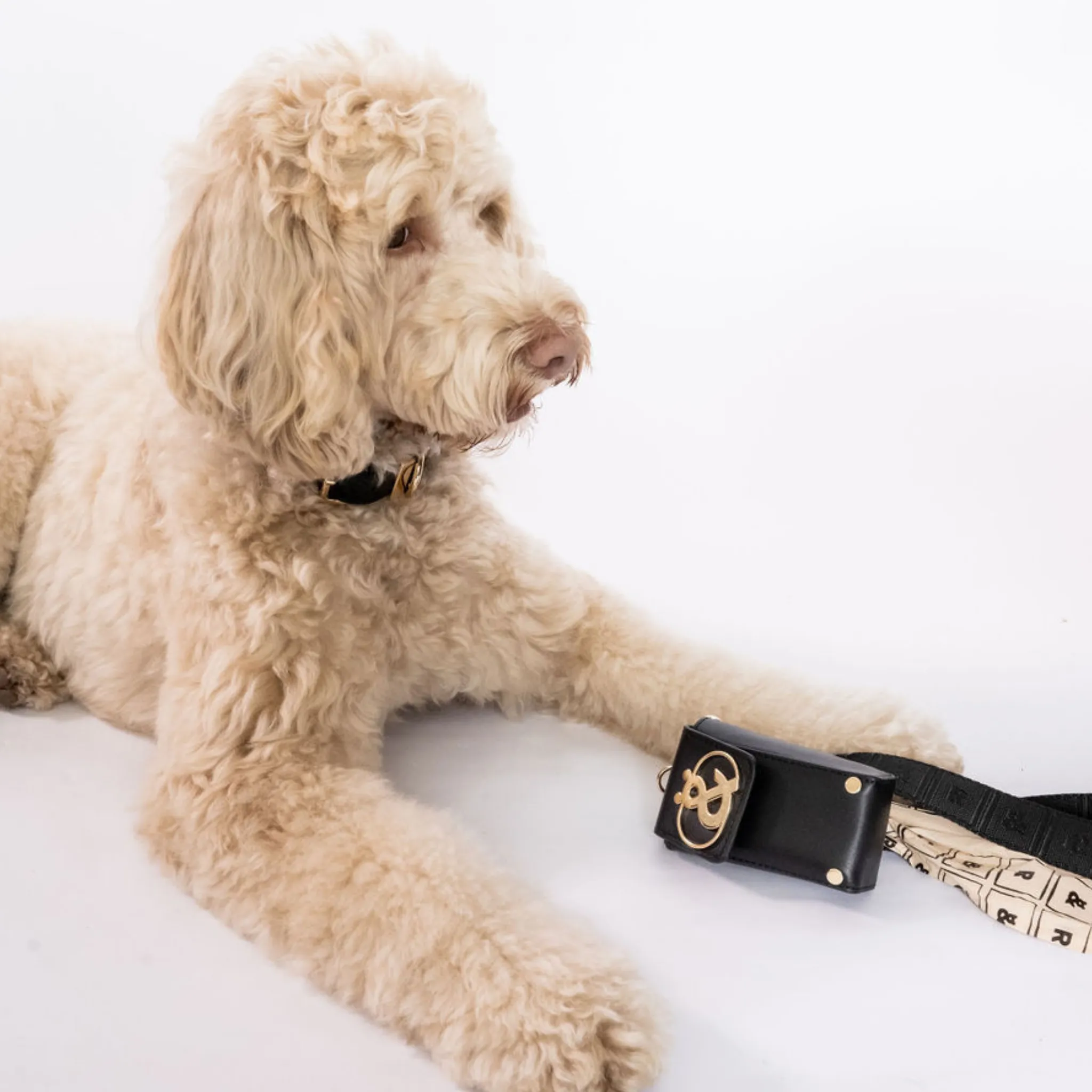 Manly Leather Poo Bag Holder